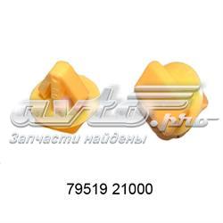 7951921000 Ssang Yong Авто акумулятор