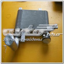 2371008020 Ssang Yong Охолоджувач наддувочного повітря