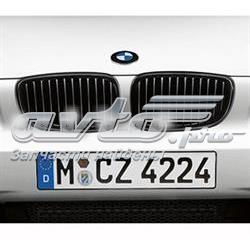 Купити 51710441921 BMW Решітка радіатора ліва