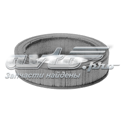 CAF100186R Champion Повітряний фільтр двигуна