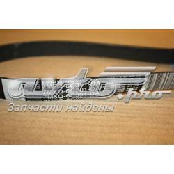Клиновий ремінь Ford 1517566 ціна, від 16.53 USD