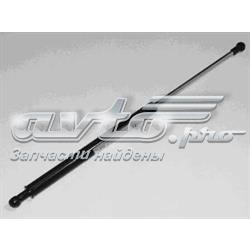Амортизатор кришки багажника General Motors 96306833