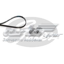 Ремінь приводний, агрегатів, комплект Gates K017PK1125 ціна, від 61.27 USD