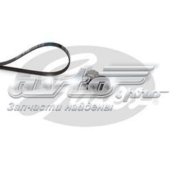 Ремінь приводний, агрегатів, комплект Gates K026PK1203 ціна, від 52.44 USD