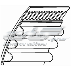 Ремінь ПНВТ 1856301 Lemforder