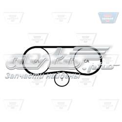 ZRK1303 Optibelt Ремінь двигуна