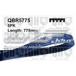 Ремінь генератора QBR5775 QUINTON HAZELL