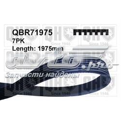 Ремінь генератора QBR71975 QUINTON HAZELL