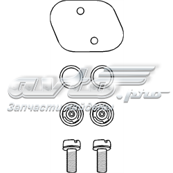Прокладка вакуумного насосу 101493015 Hans Pries (Topran)