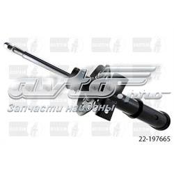 Амортизатори передні Bilstein 22309822