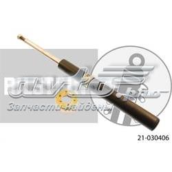 Амортизатор передній PNE3040 Bilstein