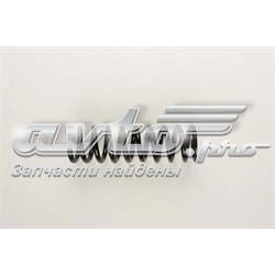 Купити A2023240704 Mercedes Задні пружини