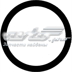 Прокладка впускного колектора Victor Reinz 407624600 ціна, від 1.28 USD