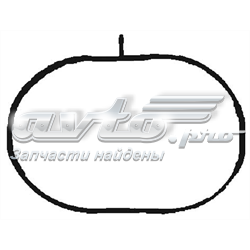 Купити 713640900 Victor Reinz Прокладка впускного колектора