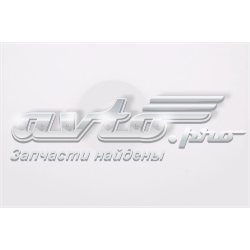 Купити A6170170360 Mercedes Кільце форсунки