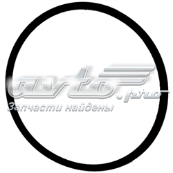 348T5 Peugeot/Citroen Прокладка дросельної заслінки