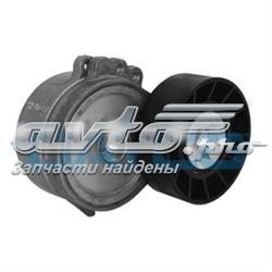 Натягувач приводного ременя Dayco APV1114