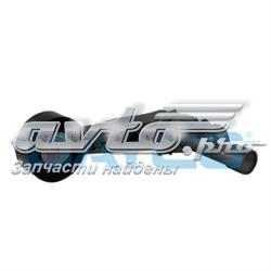 Купити APV2465 Dayco Натягувач приводного ременя
