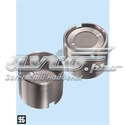 Купити 7700716248 Renault (RVI) Штовхач клапанів двигуна