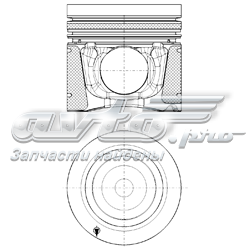 A9260309517 Mercedes Поршня на 1 циліндр, STD