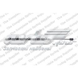 Амортизатор двері задньої Lesjofors 8162060 ціна, від 11.56 USD