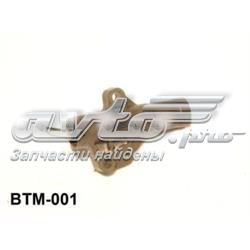  BTM001 Aisin
