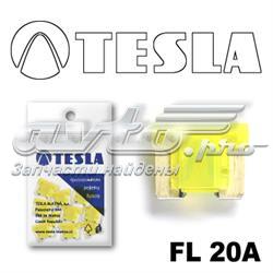  FL20A10 Tesla