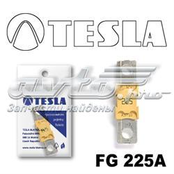  FG225A Tesla