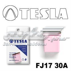 FJ1730A Tesla 