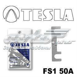  FS150A Tesla