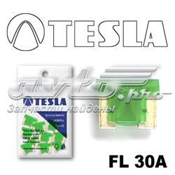 FL30A10 Tesla Запобіжник