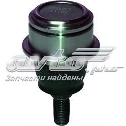 CX0108 Birth Кульові на авто