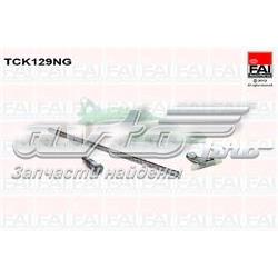 Ланцюг ГРМ, комплект FAI TCK129NG ціна, від 116.08 USD