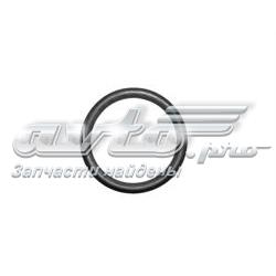 Прокладка адаптера маслянного фільтра 0810039 Trucktec