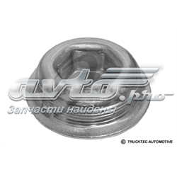 Купити 0210099 Trucktec Заглушка блоку циліндрів