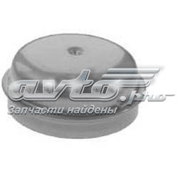 Заглушка маточини 0231002 Trucktec