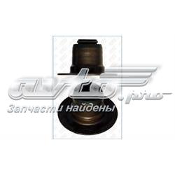  SS45909A Mahle Original