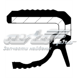 Купити 20036307B Corteco Сальник колінвала задній