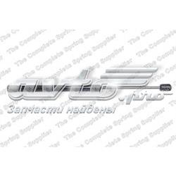 Купити ZSJS0001 Japko Амортизатор під капот