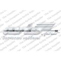Стійка капота права Stabilus 456737