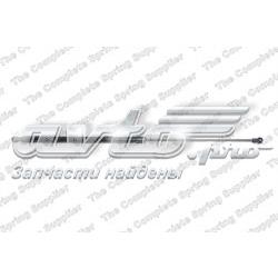 Купити ZSA10044 Ashika Амортизатор двері багажника