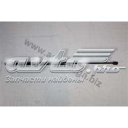 3082705524A9 Dello/Automega Амортизатор кришки багажника / двері 3/5-ї задньої