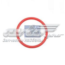 5003065192 Renault (RVI) Кільце інжектора