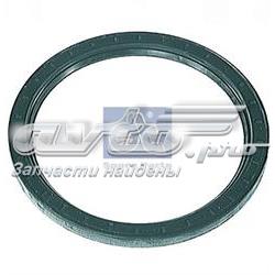 420171 Diesel Technic Сальник задньої маточини, зовнішній