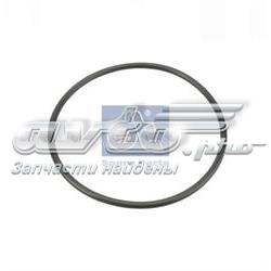 Купити 621491 Diesel Technic Кільце ущільнювальне під гільзу двигуна