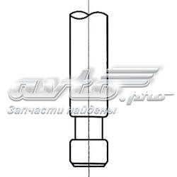 Клапан випускний PMAN002 AMP/Paradowscy