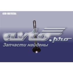 481H1007012BAINF InA-For Випускний клапан двигуна