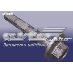 A212919213 Chery Болт заднього поздовжнього важеля, розвальний