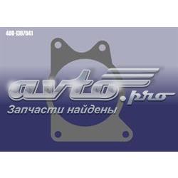 4801307041 Chery Прокладка водяної помпи