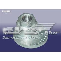 T112919031 Chery Гайка заднього нижнього важеля ексцентрична (розвалу)